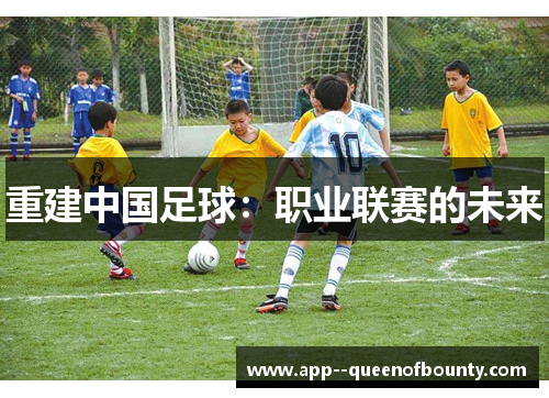 重建中国足球：职业联赛的未来